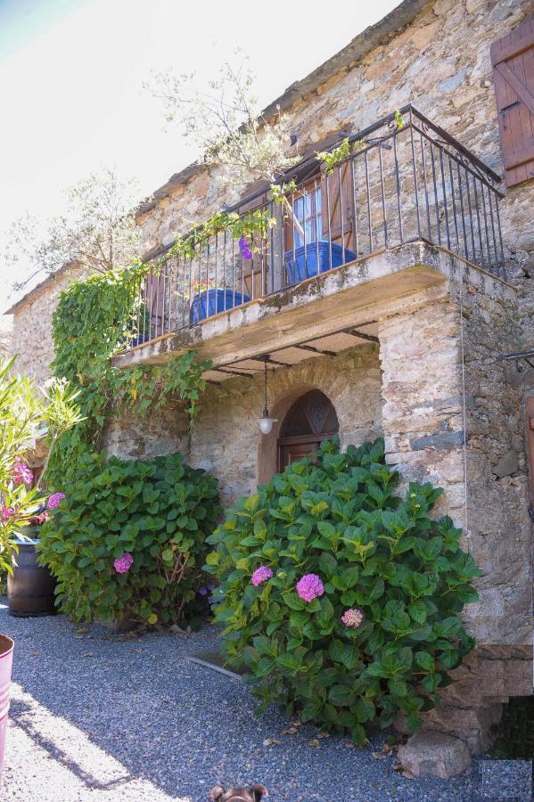 A Casa Di Paulina Bed & Breakfast Casta Ngoại thất bức ảnh